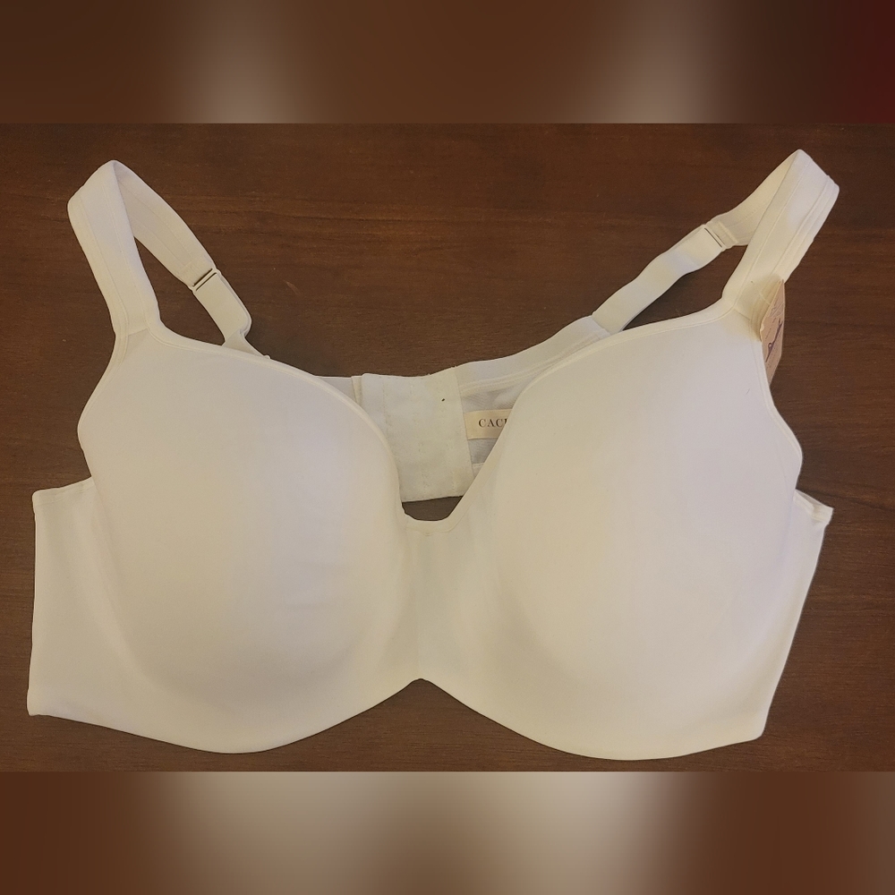Bra